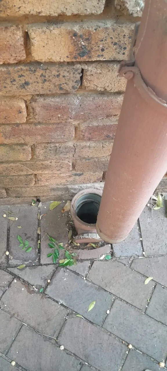 Blocked drain cleaning in Akasia – cleared blockage (24/7)