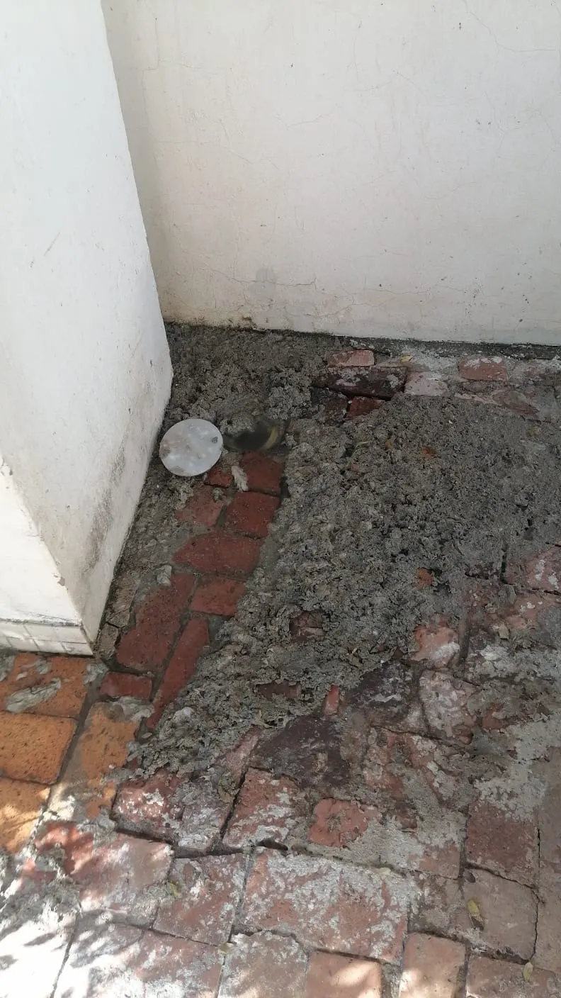 Emergency drain unblocking in Midridge Park – 24/7 service