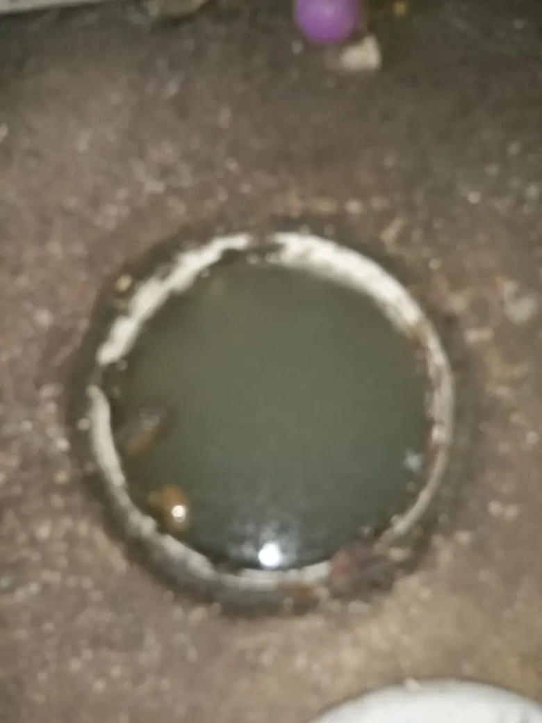 Same-day drain unblocking in Norwood Same-day drain unblocking in Norwood