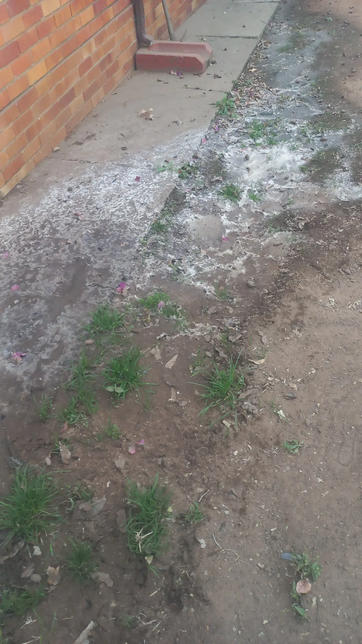 Same-day drain unblocking in Olievenhoutbosch Same-day drain unblocking in Olievenhoutbosch